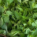 Young green herbs  screen for extension Chrome web store in OffiDocs Chromium
