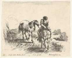 Free download Young Horseman Leading a Horse, from Diversi capricci free photo or picture to be edited with GIMP online image editor