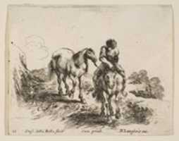 Free download Young Horseman Leading a Horse free photo or picture to be edited with GIMP online image editor