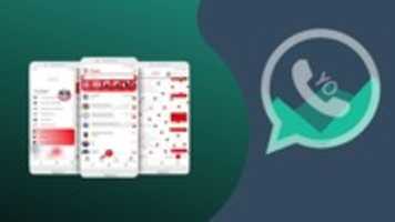 무료 다운로드 yowhatsapp-2021 무료 사진 또는 김프 온라인 이미지 편집기로 편집할 사진