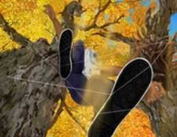 Free download Yuri Trees free photo or picture to be edited with GIMP online image editor