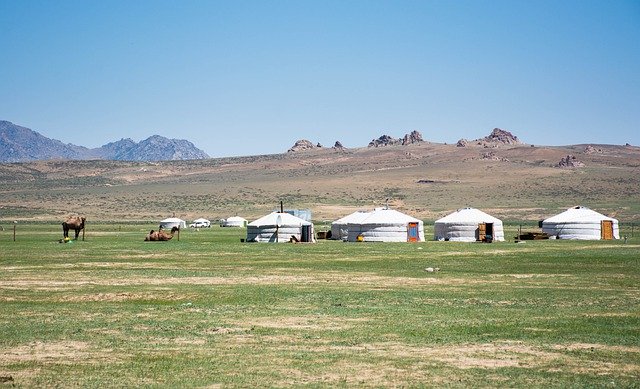 বিনামূল্যে ডাউনলোড করুন yurts মঙ্গোলিয়া উট প্রকৃতি বিনামূল্যে ছবি GIMP বিনামূল্যে অনলাইন ইমেজ সম্পাদক দ্বারা সম্পাদনা করা হবে