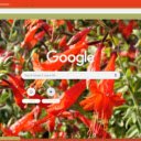 Zauschneria  screen for extension Chrome web store in OffiDocs Chromium