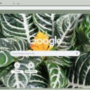 Zebra Plant  screen for extension Chrome web store in OffiDocs Chromium