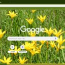 Zephyranthes  screen for extension Chrome web store in OffiDocs Chromium