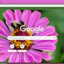 Zinnia Elegans  screen for extension Chrome web store in OffiDocs Chromium