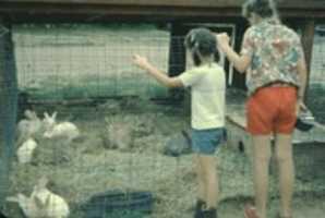Free download Zoo, Rabits, Cage, Public free photo or picture to be edited with GIMP online image editor
