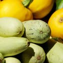 Zucchini fruit  screen for extension Chrome web store in OffiDocs Chromium