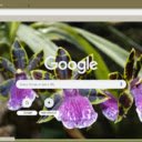 Zygopetalum  screen for extension Chrome web store in OffiDocs Chromium