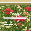 Yarrow Red  screen for extension Chrome web store in OffiDocs Chromium