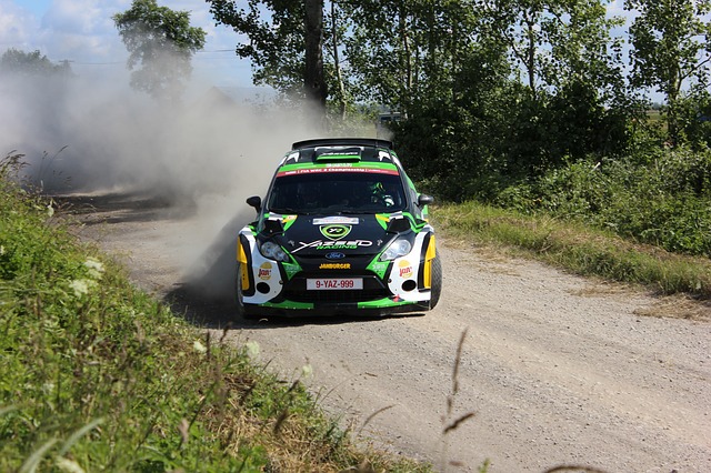 Free download yazzed al rajhi 71 rally poland 2014 free picture to be edited with GIMP free online image editor