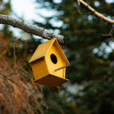 Yellow Bird Nest  screen for extension Chrome web store in OffiDocs Chromium