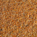 Yellow corn kernels  screen for extension Chrome web store in OffiDocs Chromium