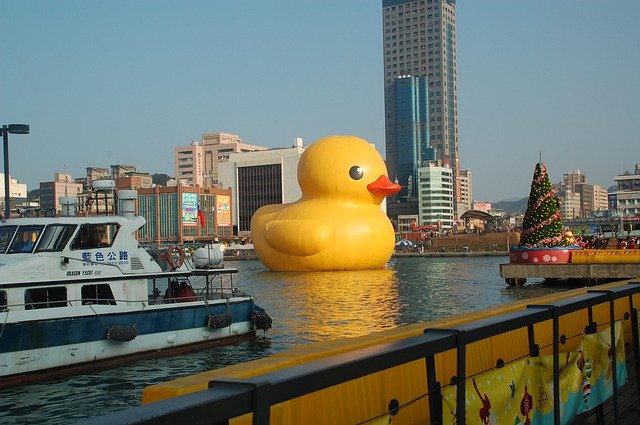 Descarga gratuita Yellow Duckling Duck: foto o imagen gratuita para editar con el editor de imágenes en línea GIMP