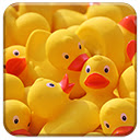 Yellow Ducks  screen for extension Chrome web store in OffiDocs Chromium