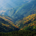 Yellow flowers on the mountain  screen for extension Chrome web store in OffiDocs Chromium