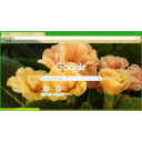 yellow flowers with background  screen for extension Chrome web store in OffiDocs Chromium