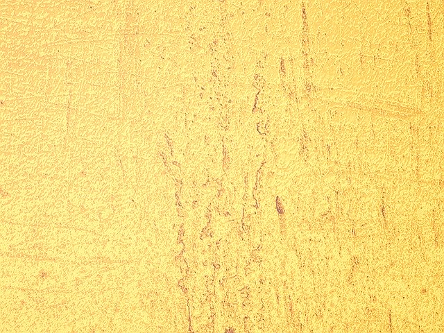 Free download Yellow Grain -  free illustration to be edited with GIMP free online image editor