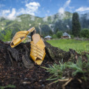 Yellow leather sandals  screen for extension Chrome web store in OffiDocs Chromium Yellow leather sandals  screen for extension Chrome web store in OffiDocs Chromium
