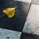 Yellow leaves  screen for extension Chrome web store in OffiDocs Chromium