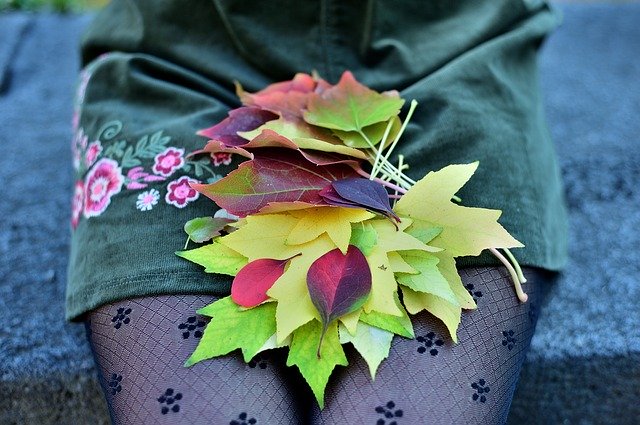 무료 다운로드 Yellow Leaves Leaf Red - 무료 사진 또는 김프 온라인 이미지 편집기로 편집할 수 있는 사진