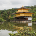 Yellow Painted Building  screen for extension Chrome web store in OffiDocs Chromium