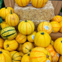 Yellow pumpkin agricultural products  screen for extension Chrome web store in OffiDocs Chromium