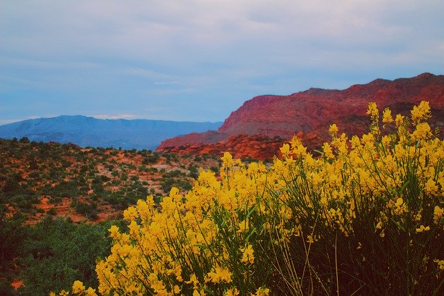 Free download Yellow Saint George Red Rock -  free photo or picture to be edited with GIMP online image editor