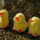 Yellow stuffed duck  screen for extension Chrome web store in OffiDocs Chromium