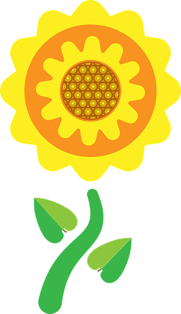 Free download Yellow Sun Flower - Free vector graphic on Pixabay free illustration to be edited with GIMP free online image editor