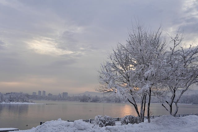 Bezpłatne pobieranie rzeki Jenisej śnieg zima mróz darmowe zdjęcie do edycji za pomocą bezpłatnego edytora obrazów online GIMP