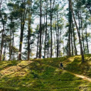 Yen Minh Pine Forest – The Dreamy Green Wonderland of Ha Giang  screen for extension Chrome web store in OffiDocs Chromium