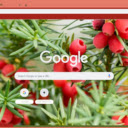 Yew  screen for extension Chrome web store in OffiDocs Chromium