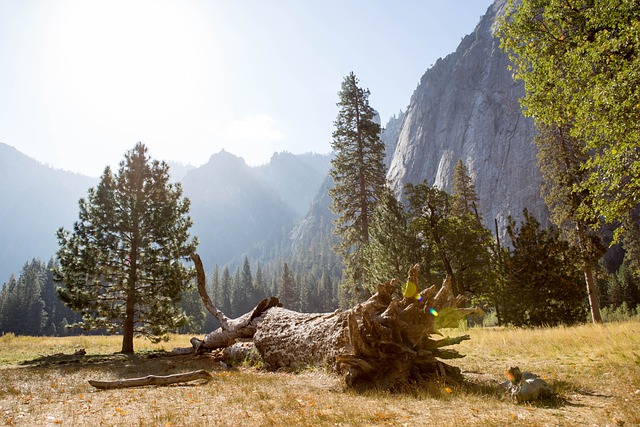 Free download yosemite national park el capitan free picture to be edited with GIMP free online image editor