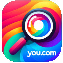 You.com Plugin  screen for extension Chrome web store in OffiDocs Chromium