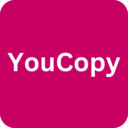 YouCopy  screen for extension Chrome web store in OffiDocs Chromium