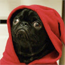 You Guys to You Babies  screen for extension Chrome web store in OffiDocs Chromium