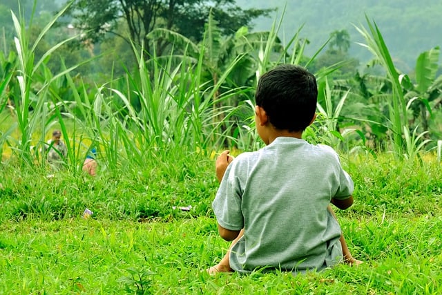 Free download young boy waiting outdoor nature free picture to be edited with GIMP free online image editor