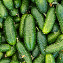 young green cucumbers  screen for extension Chrome web store in OffiDocs Chromium