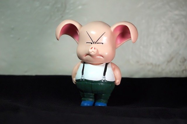 Free download young male pig animal domesticated free picture to be edited with GIMP free online image editor