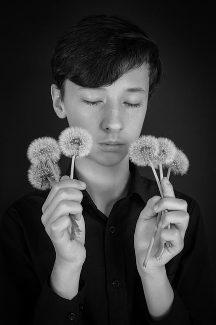 Free download young man boy dandelions teen free picture to be edited with GIMP free online image editor