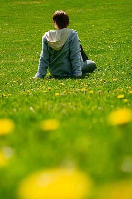 Free download young woman grass dandelions meadow free picture to be edited with GIMP free online image editor