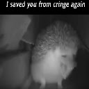 yt thumbs  shorts blocker  screen for extension Chrome web store in OffiDocs Chromium