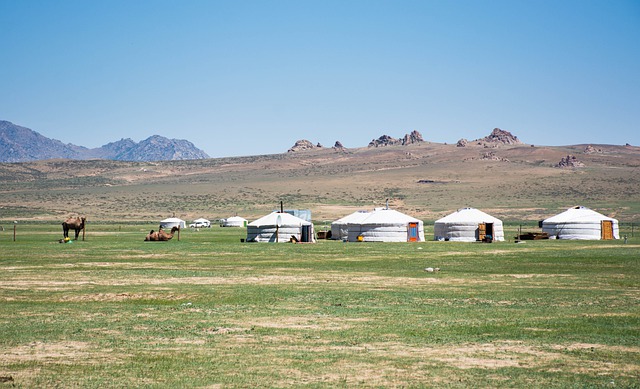 Free download yurts mongolia camels nature free picture to be edited with GIMP free online image editor