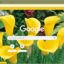 Zantedeschia  screen for extension Chrome web store in OffiDocs Chromium