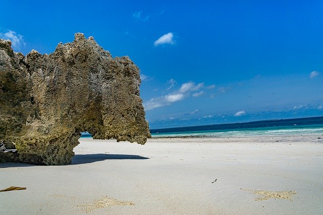 Descarga gratuita Zanzibar Beach Tropical: foto o imagen gratuita para editar con el editor de imágenes en línea GIMP