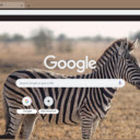 Zebra  screen for extension Chrome web store in OffiDocs Chromium