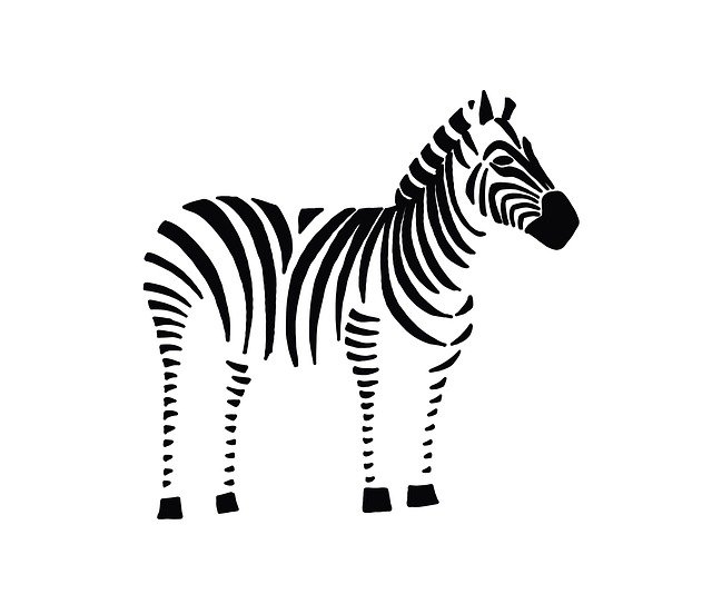 Free download Zebra Animal Monochrome -  free illustration to be edited with GIMP free online image editor