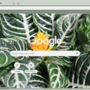 Zebra Plant  screen for extension Chrome web store in OffiDocs Chromium