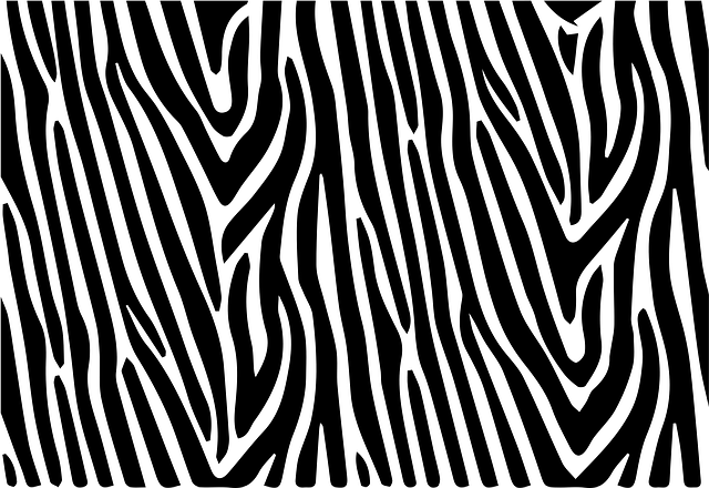 Free download Zebra Stripes Striped - Free vector graphic on Pixabay free illustration to be edited with GIMP free online image editor
